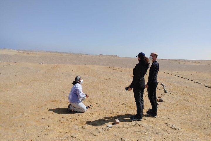 Paracas National Reserve Private Tour from Paracas or Pisco