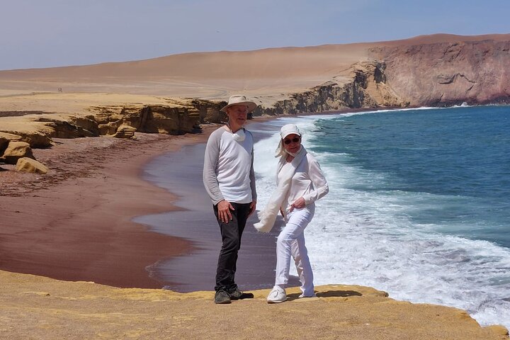Paracas National Reserve Private Tour from Paracas or Pisco