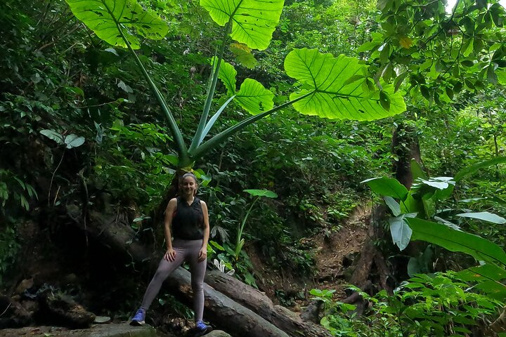 Hiking to the Peak of the Pava