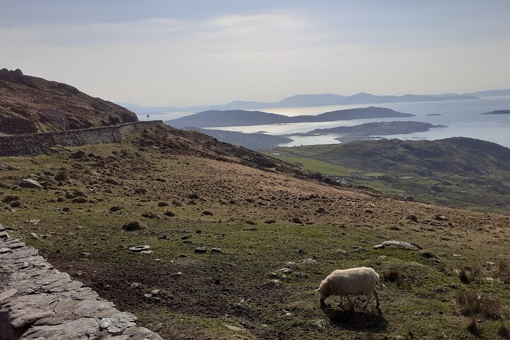 Private Tour of Ring of Kerry & Valentia Island