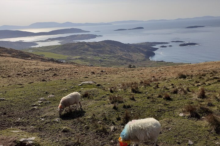 Private Tour of Ring of Kerry & Valentia Island