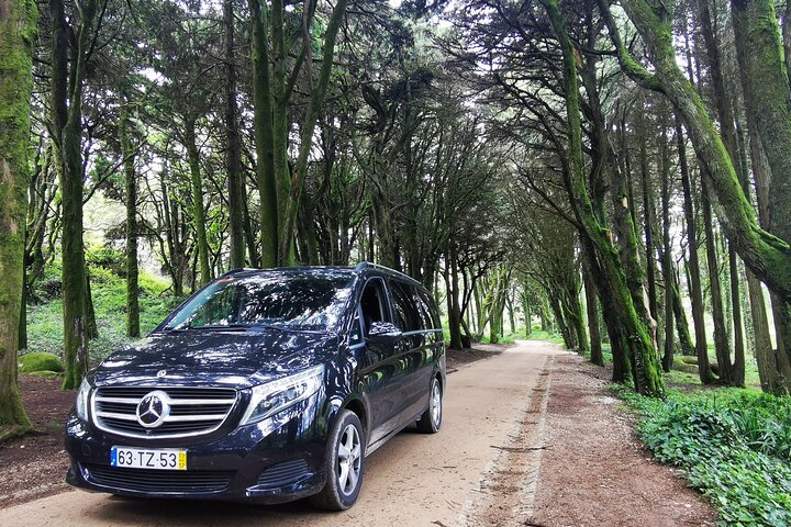 Lisbon to Seville Private Transfer: Algarve Coast & Scenic Stops