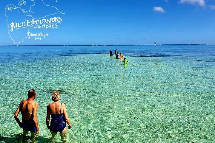 Discovery by boat of the Mangrove and its lagoon in 7 Stages including 4 Swimming
