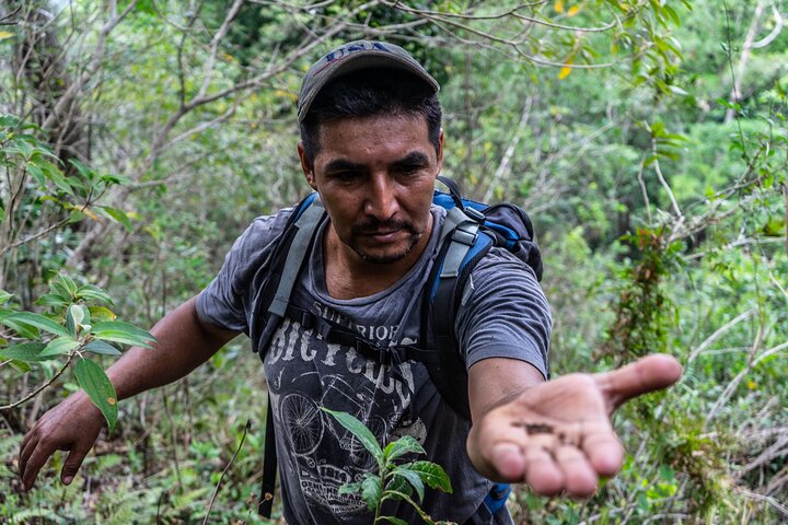Hidden Waterfalls Eco Tour in El Imposible National Park