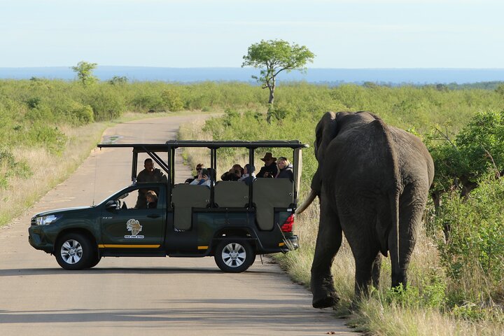 5 day-Kruger National Park Safari from Kruger Int. Airport (KMI), Panorama Route