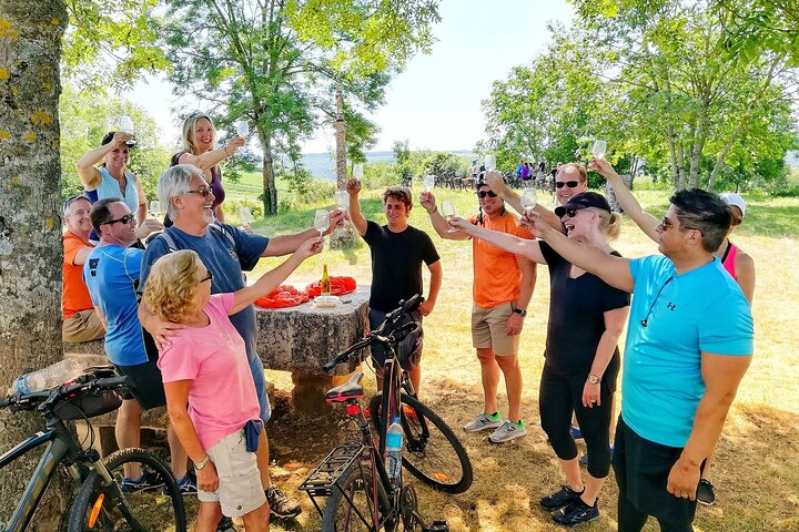 Burgundy Bike Tour with Wine Tasting from Beaune