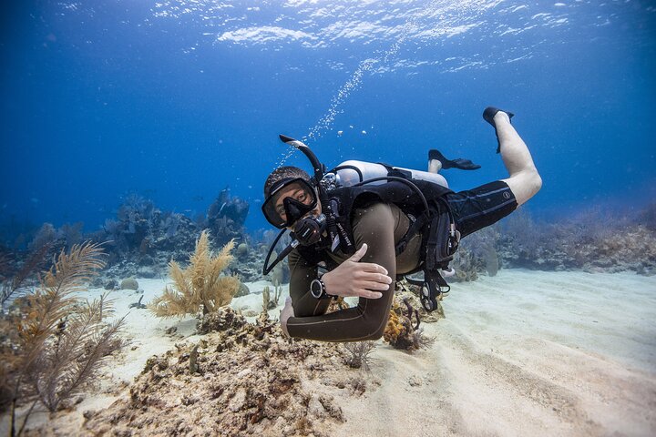 Fujairah: PADI Open Water Diver Course