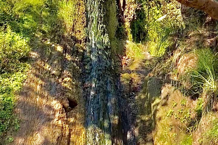 Malibu Waterfall eMTB & Hiking Adventure (Beginner)