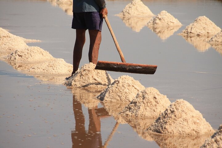 Kampot Pepper Tour, Salt Field, Cave Temple, Secret Lake