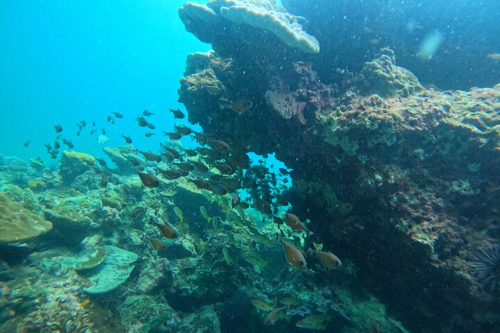 Phi Phi Islands Adventure Day Trip w/ Seaview Lunch by V. Marine