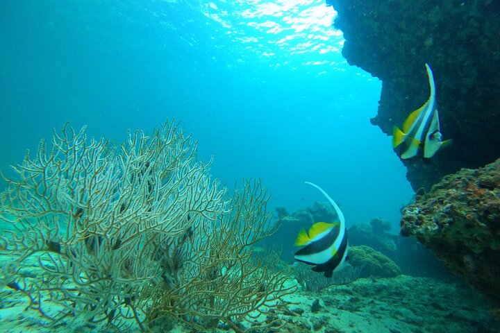 Phi Phi Islands Adventure Day Trip w/ Seaview Lunch by V. Marine