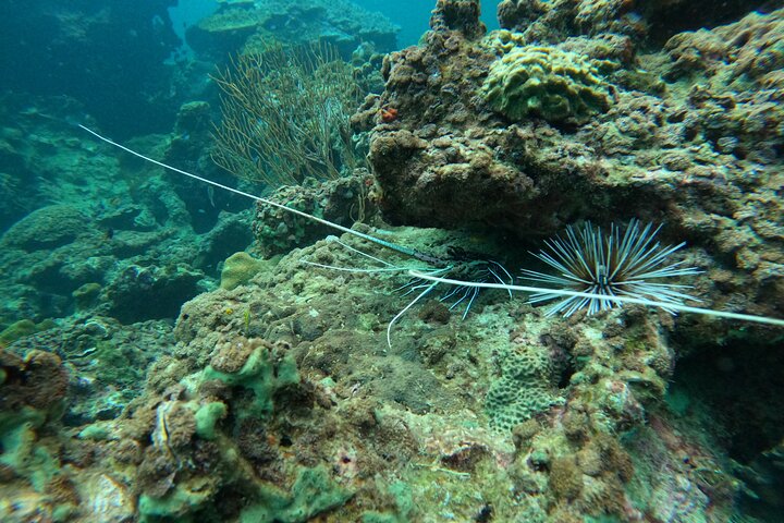 Phi Phi Islands Adventure Day Trip w/ Seaview Lunch by V. Marine