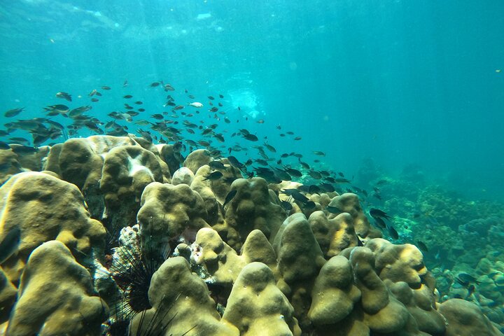 Phi Phi Islands Adventure Day Trip w/ Seaview Lunch by V. Marine