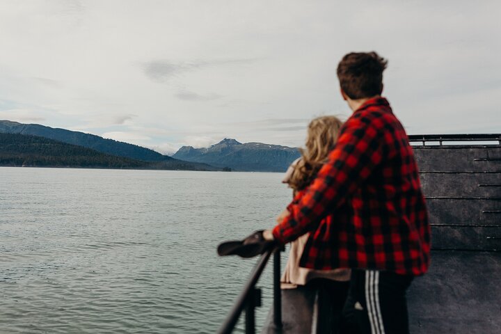 Alaska Wildlife Tour in Kachemak Bay