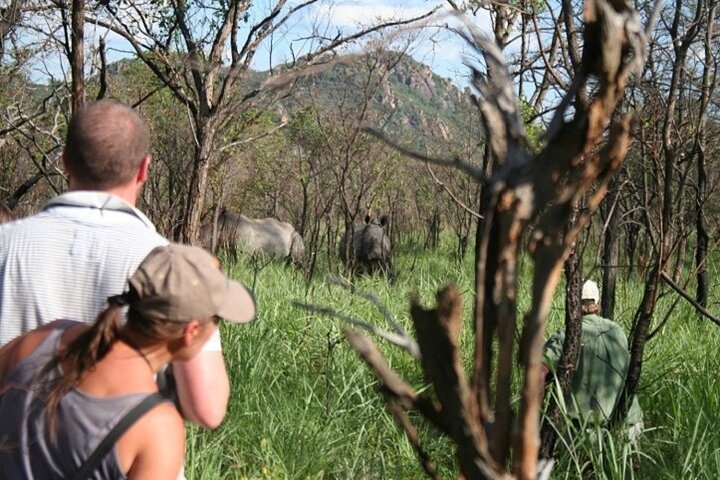 Matopos Park Day Game Drive With Rhino Tracking!