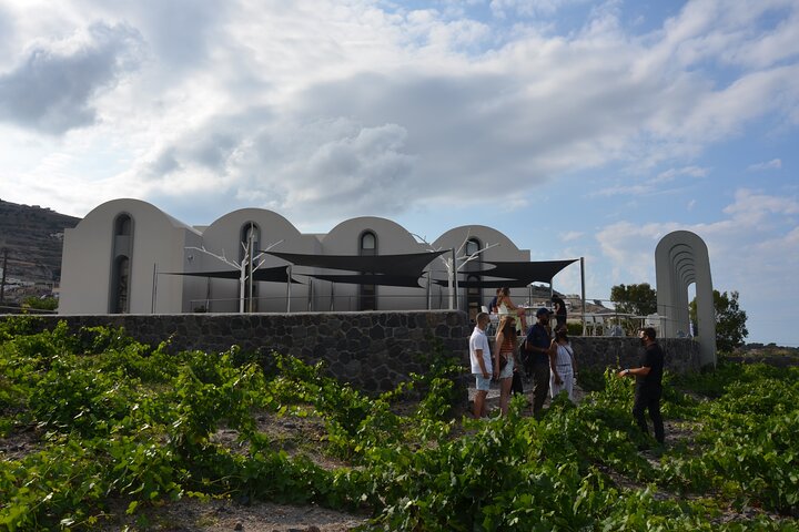 Santorini Highlights Small-Group Tour with Wine Tasting option