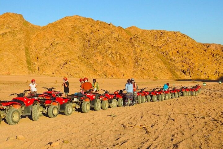 Camel Ride + Blue Hole Snorkeling + Quad Bike Tour With Lunch From Dahab