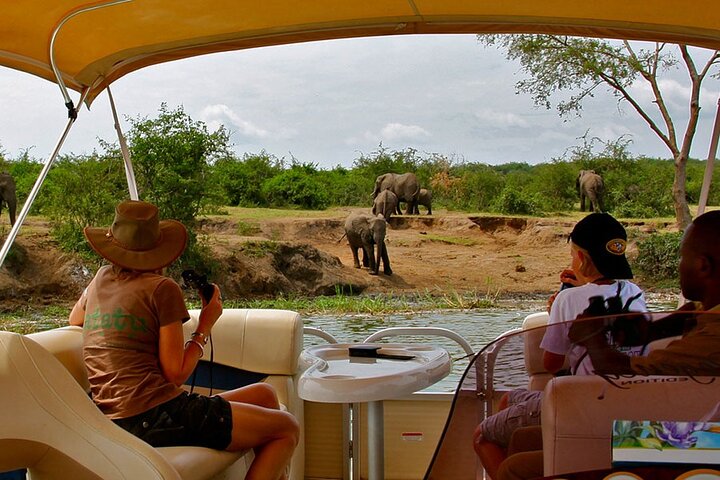 Akagera day safari