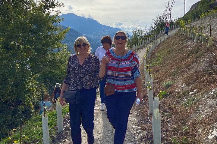 Wine and Dine Vineyard Walk in Sion