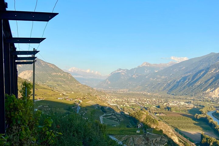 Wine and Dine Vineyard Walk in Sion