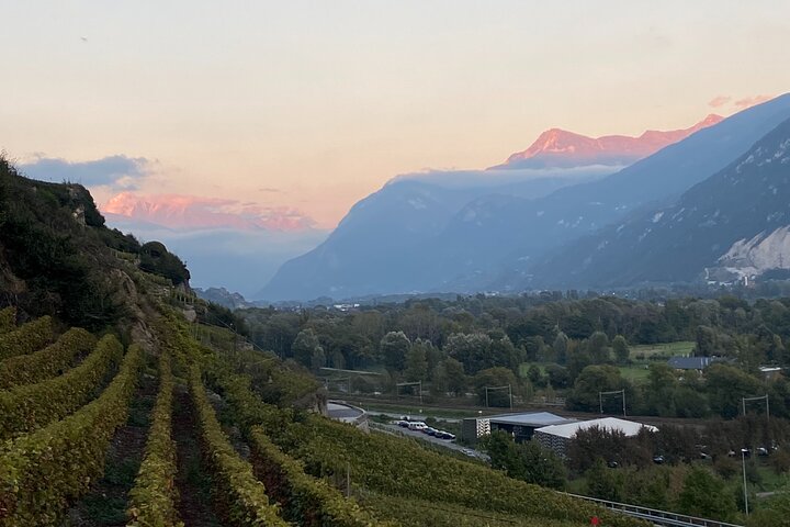 Wine and Dine Vineyard Walk in Sion