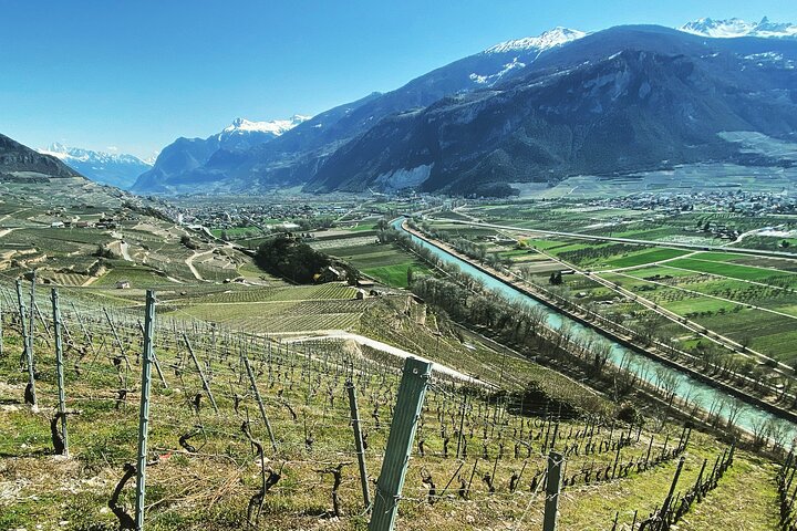 Wine and Dine Vineyard Walk in Sion