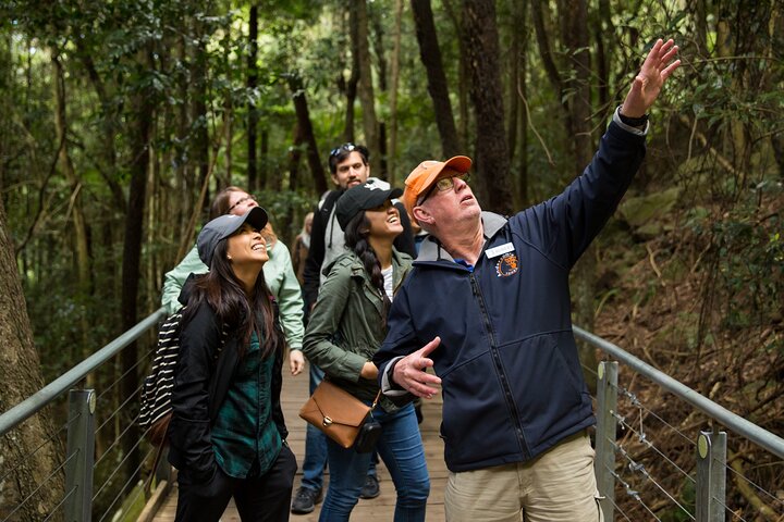 Blue Mountains Small Group All Inclusive with Local Guide