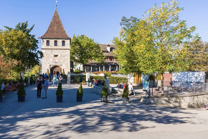 Rhine Falls and Stein am Rhein Half-Day Tour from Zurich