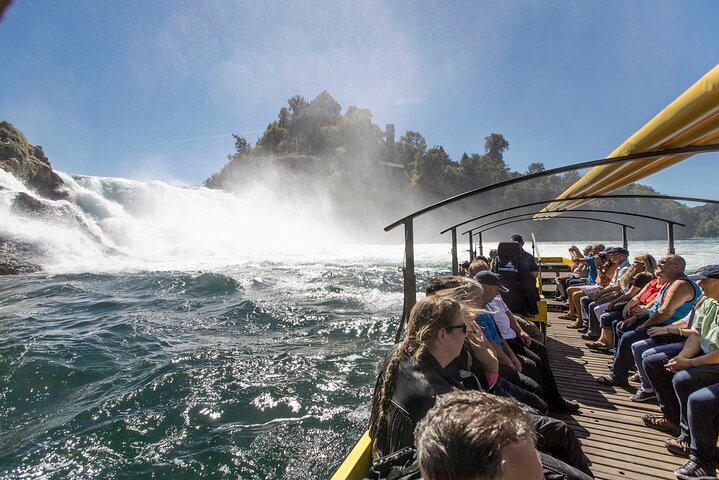 Rhine Falls and Stein am Rhein Half-Day Tour from Zurich