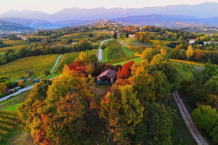 Unconventional Prosecco Tasting with Stunning View on Vineyards