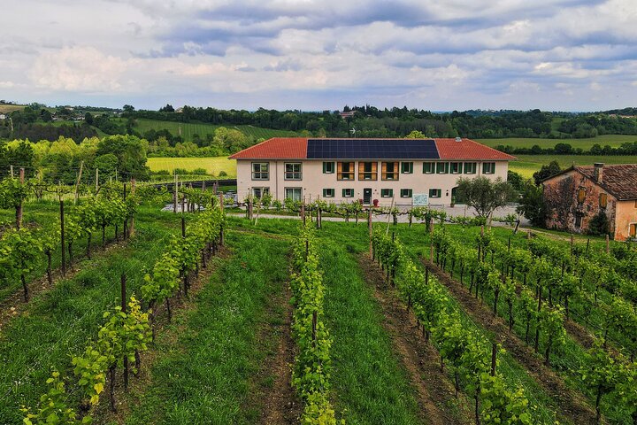 Unconventional Prosecco Tasting with Stunning View on Vineyards