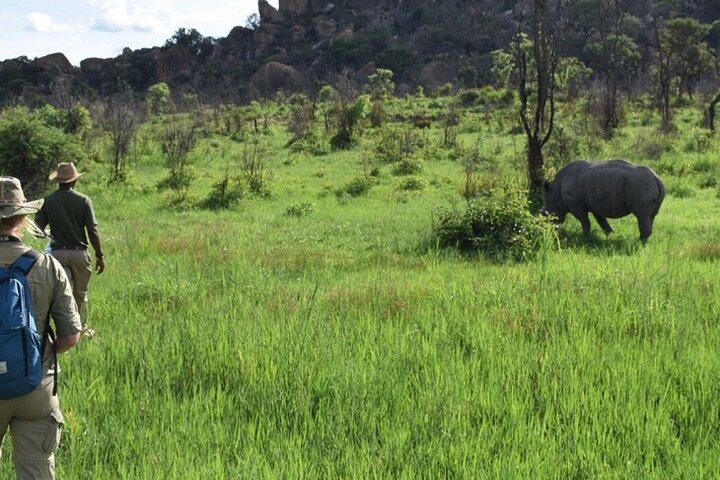 Matopos Park Day Game Drive With Rhino Tracking!