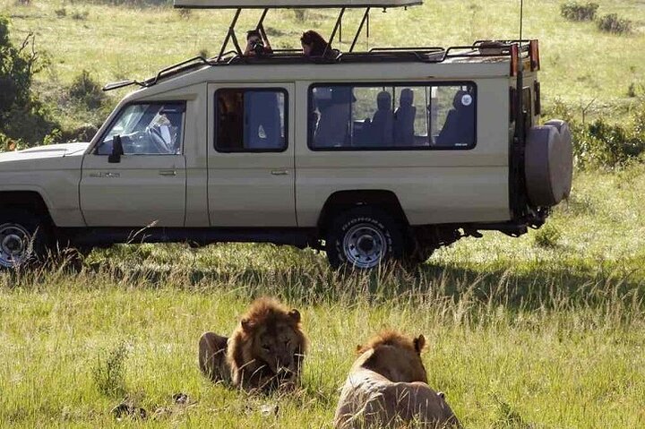 Hwange Park Big 5 Game Drive!