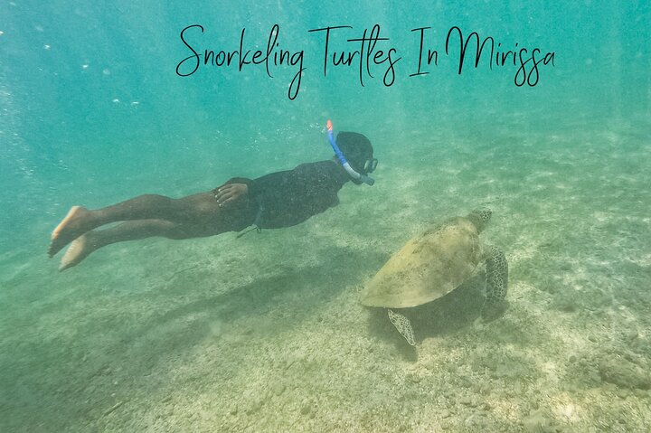 Snorkeling with Turtles in Mirissa