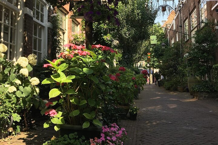 Haarlem Old Town Private Walking Tour