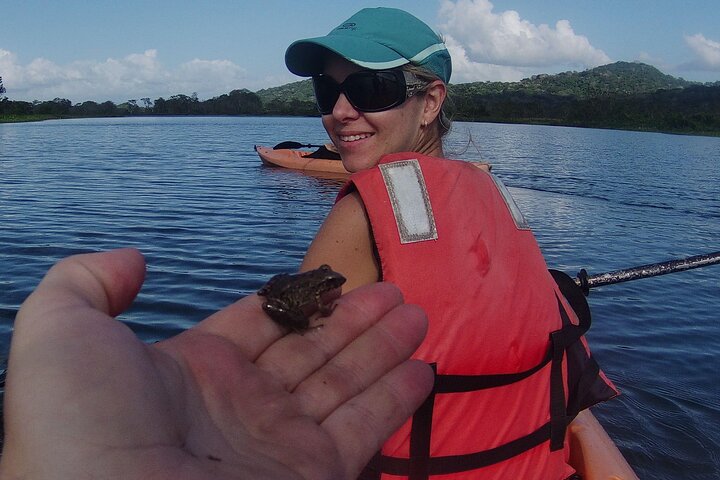Kayaking tour in the Chagres River