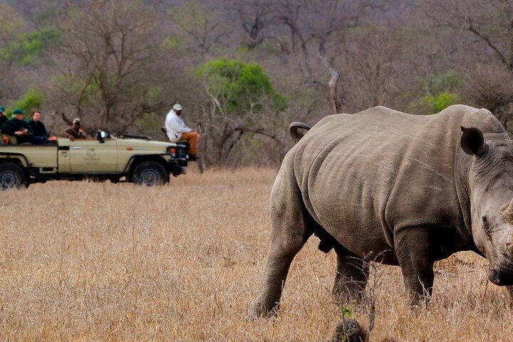 Matopos Park Day Game Drive With Rhino Tracking!