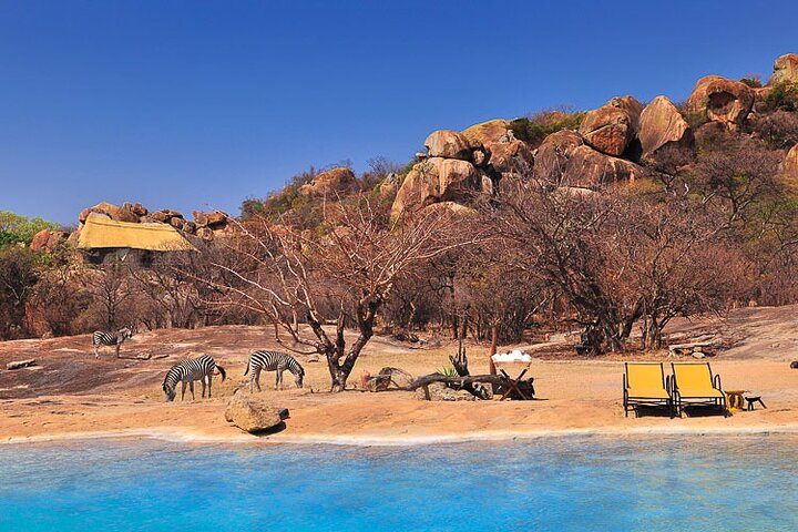 Matopos Park Day Game Drive With Rhino Tracking!