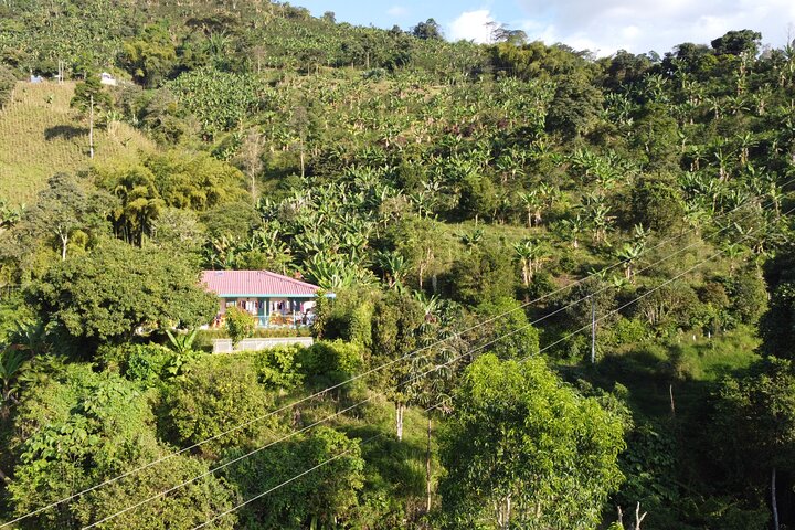 Explore the Coffee Process_From Tree to Cup & Fun by Jeep