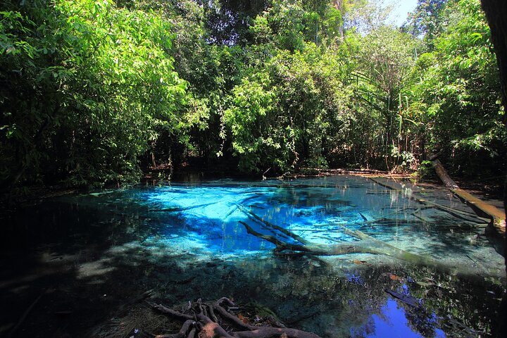 Krabi: Tiger Cave, Emerald Pool, and Hot Springs Small-Group Tour