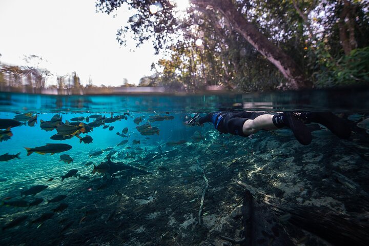Snorkel in the Sucuri River