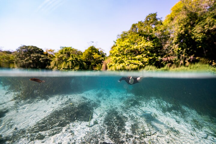 Snorkel in the Sucuri River