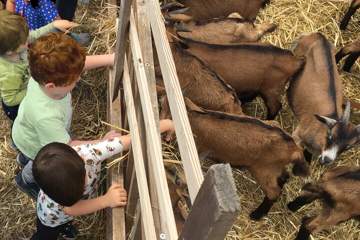 Taste Elba: Organic Food, Wine & Sea Views