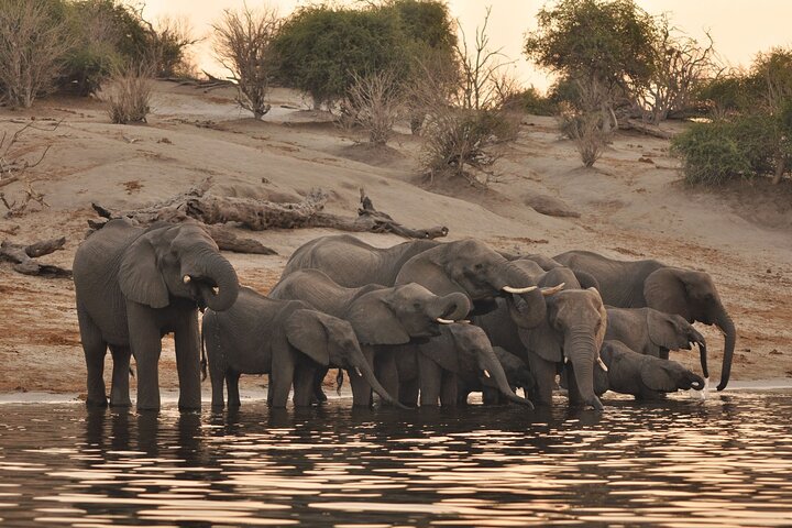 Chobe Full Day Trip from Kasane, Botswana
