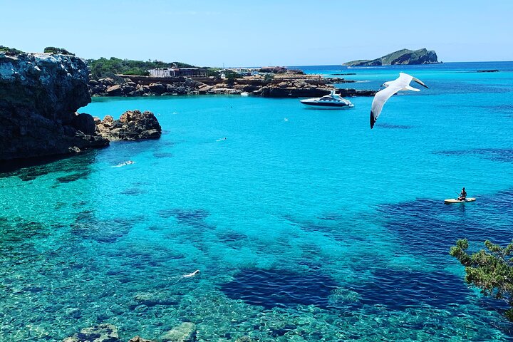 3 Hours All Inclusive Boat Trip Ibiza