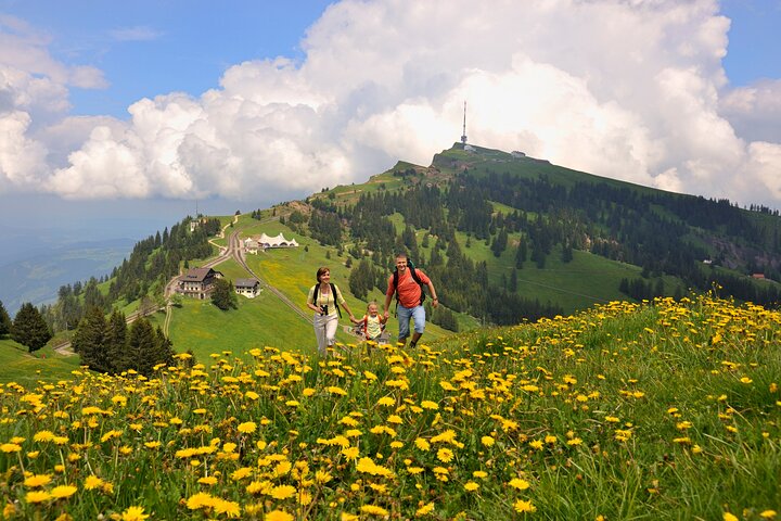 Mount Rigi Day Trip from Lucerne