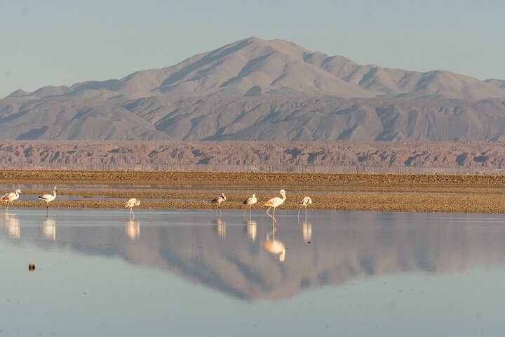 Piedras Rojas + Altiplanic Lagoons and Salar de Atacama