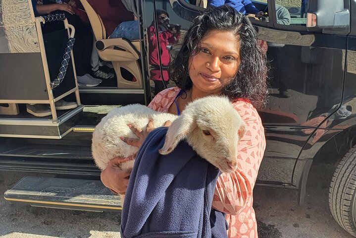 Travel to Bethlehem Half Day Guided Tour from Jerusalem