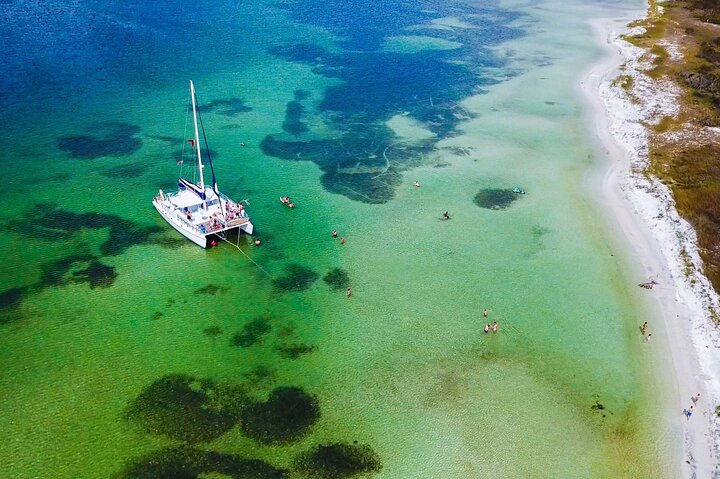 Shell Island Snorkel and Dolphin Catamaran Cruise with Island Time