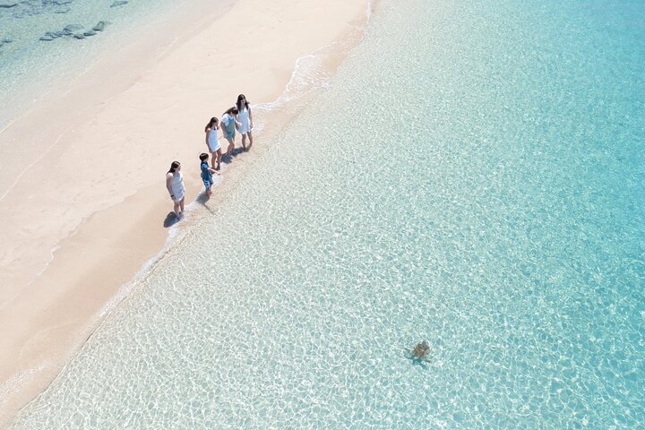 Whitehaven Beach and Hill Inlet Lookout Snorkeling Cruise
